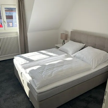 Gasthuis Zum Adler 3*