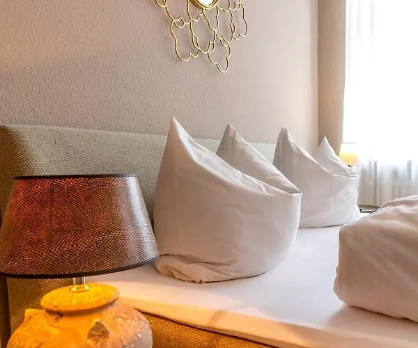 بيت ضيافة Zum Adler 3*