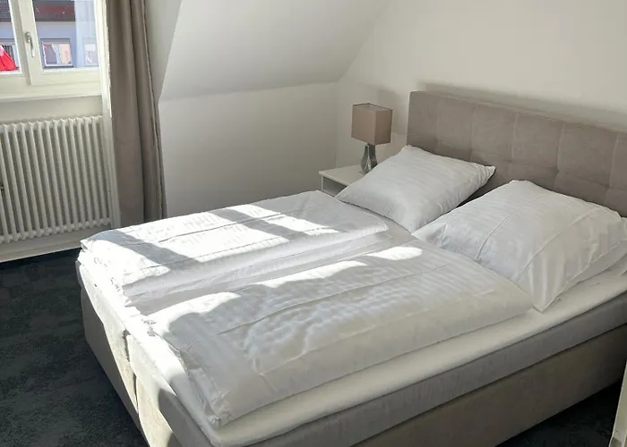 Gasthuis Zum Adler 3*