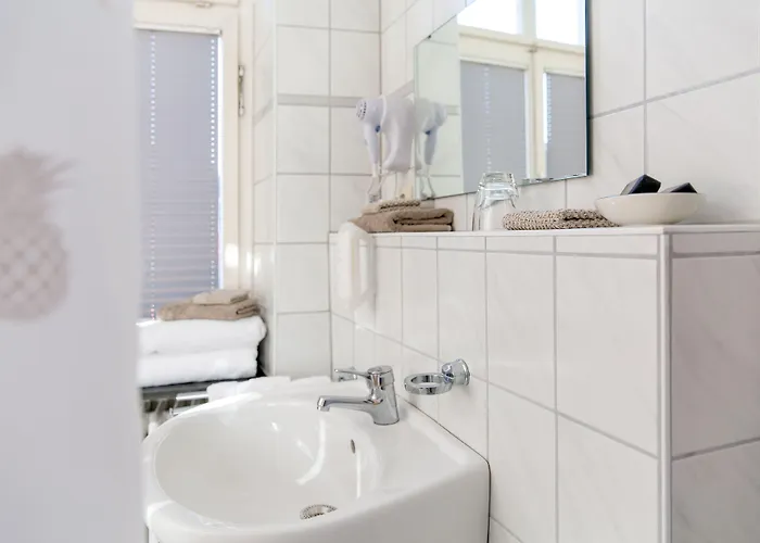 Gasthuis Zum Adler 3*