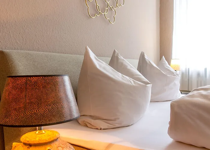 Gasthuis Zum Adler Ettenheim